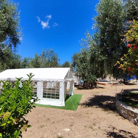 Villa Rosy Vieste Esterno foto